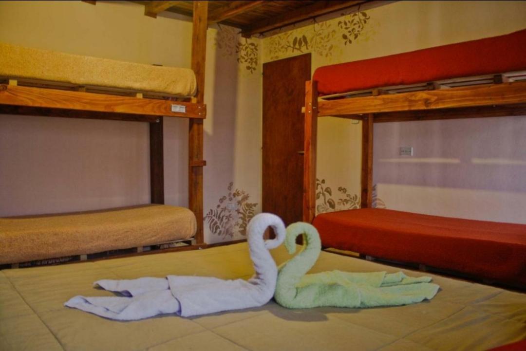 La Casa Del Arbol - Hostel El Bolsón Extérieur photo
