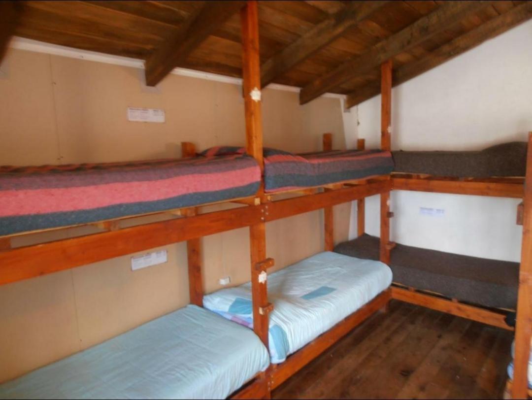 La Casa Del Arbol - Hostel El Bolsón Extérieur photo